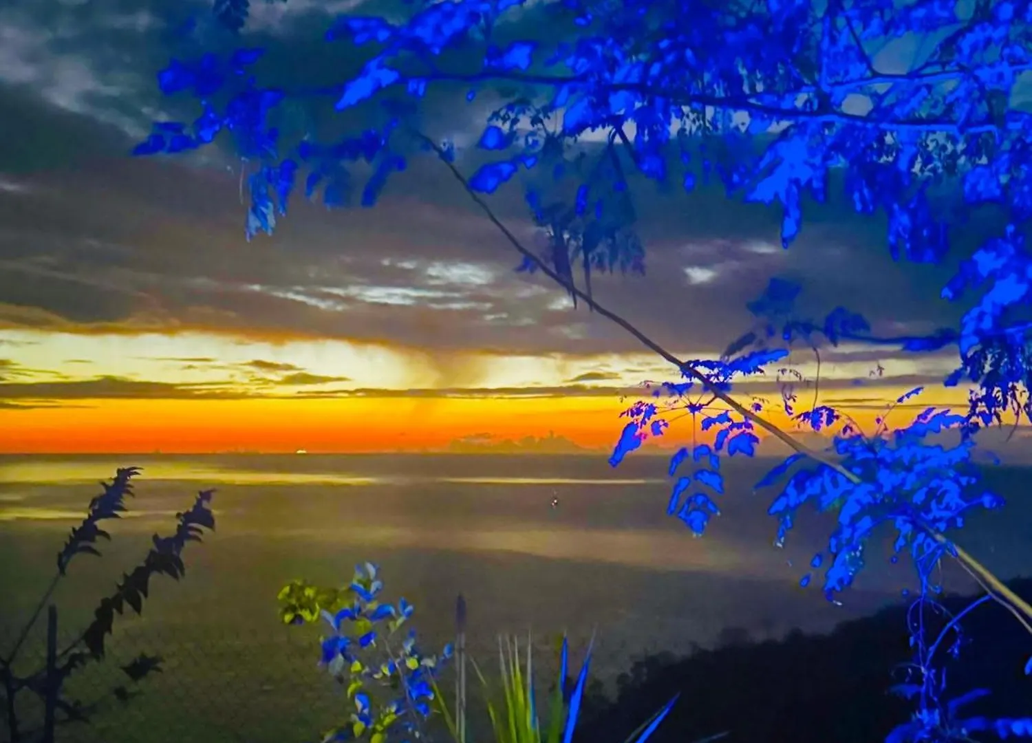 Blue Mountain Villa Le Carbet Martinique