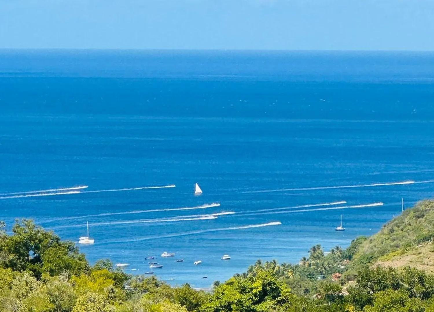 Blue Mountain Villa Le Carbet